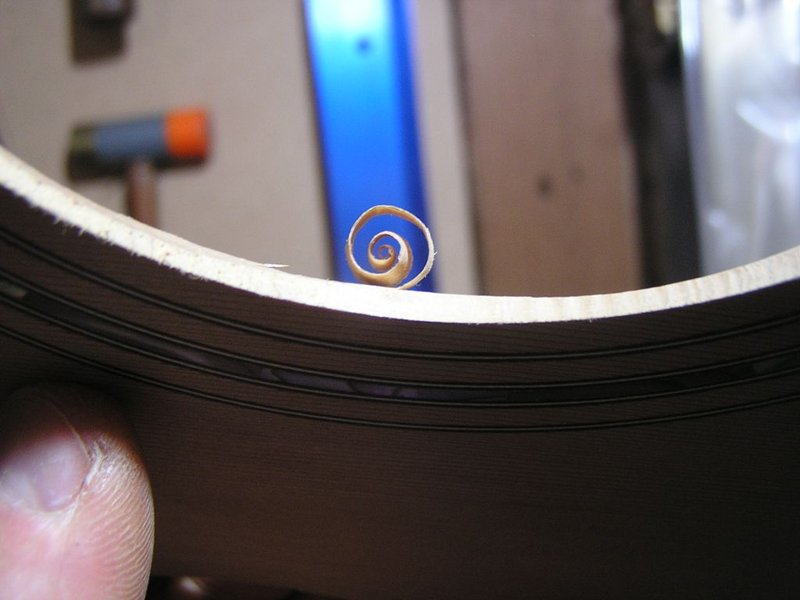 P1010360f.jpg