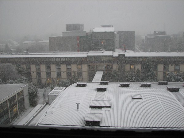 ChCh Snow.jpg