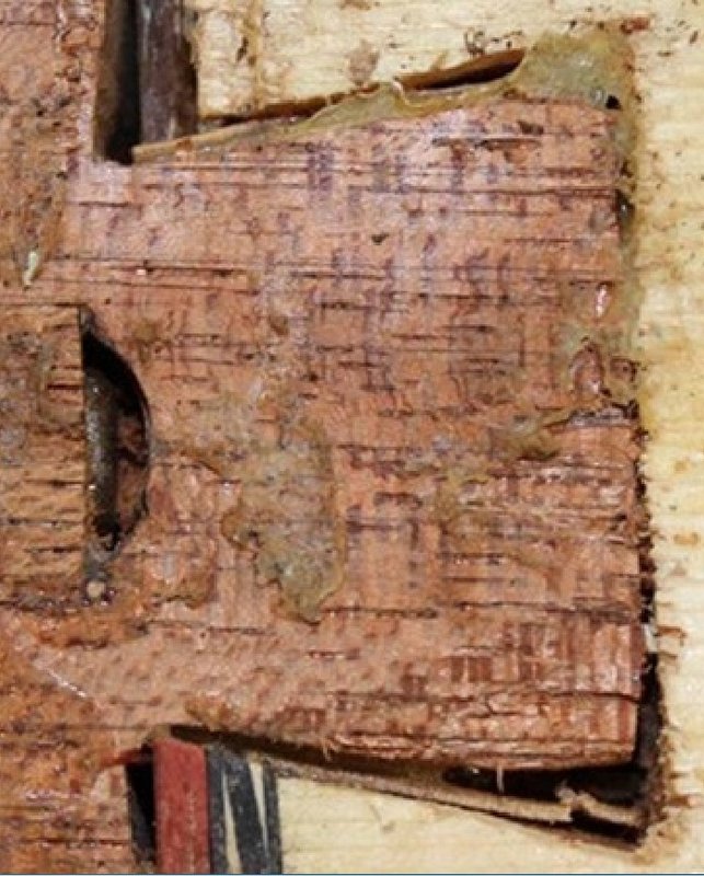 close up.jpg