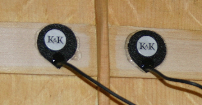 Closeup of Pads.jpg