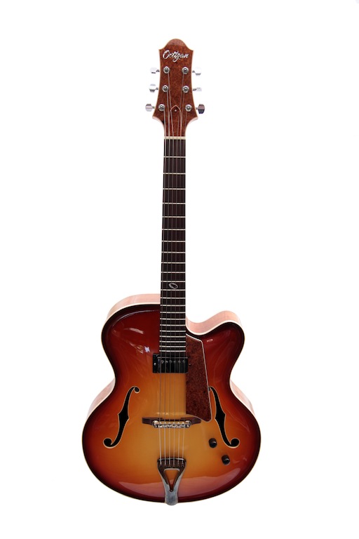 IMG_8930_full guitar.jpg