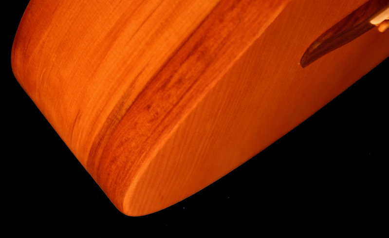 13kauri.jpg