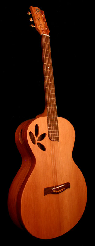 5kauri.jpg