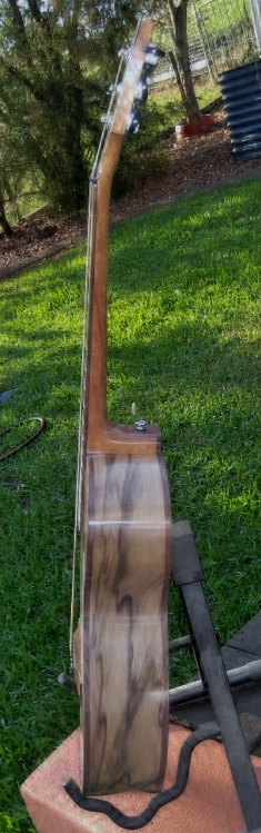 DSCF6863 (582x800).jpg