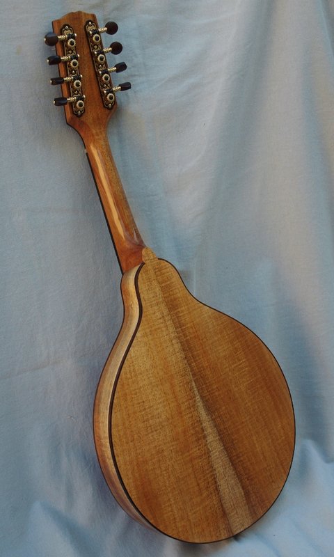 FB Blackwood Back.jpg