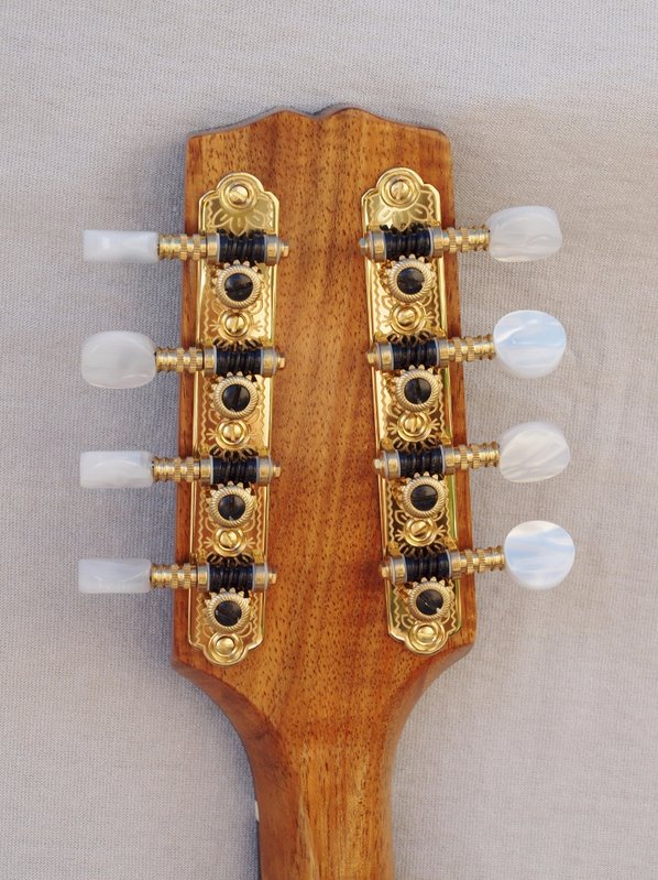 Tuners.jpg