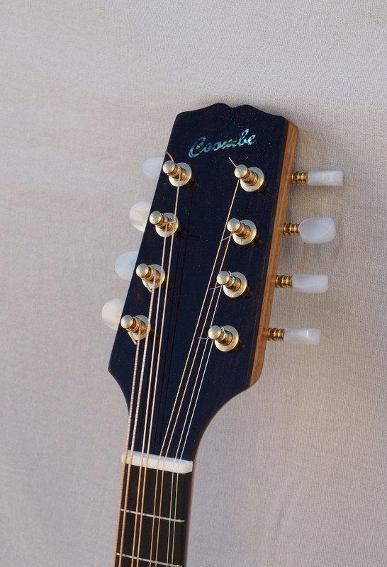 Headstock.jpg