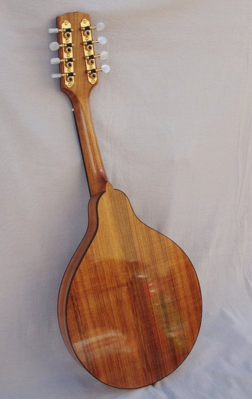 Blackwood Back.jpg