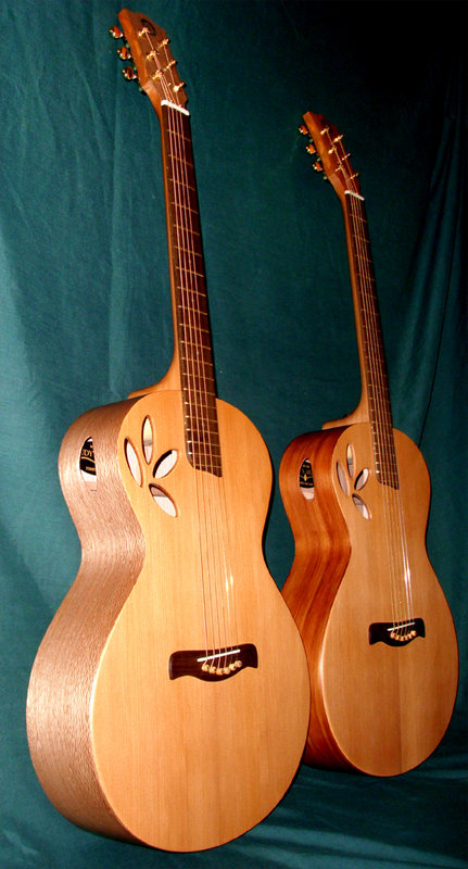 the twin Kauri.jpg