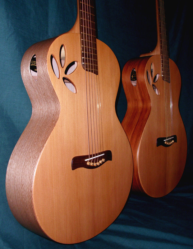 the Kauri twin's 1.jpg
