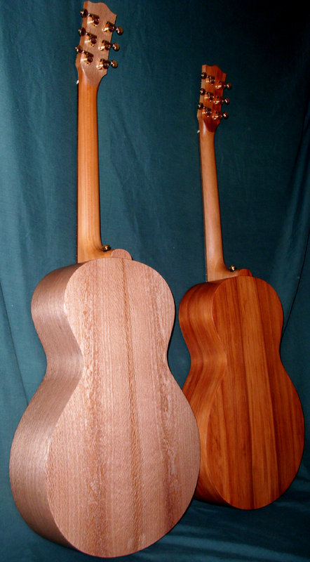 the twin kauri 2.jpg
