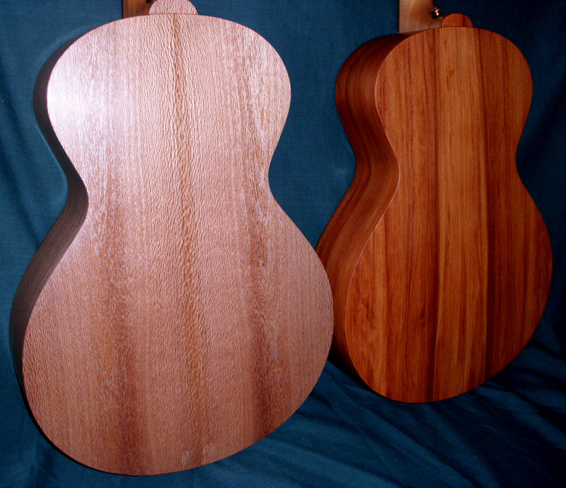 the twin kauri3.jpg