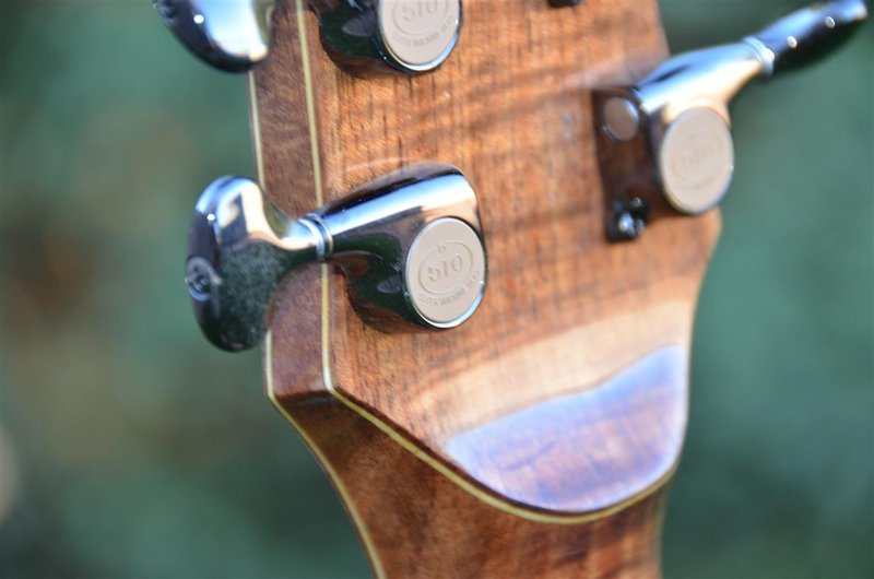 blackwood6.JPG