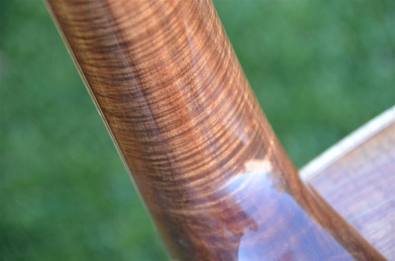 blackwood7.JPG