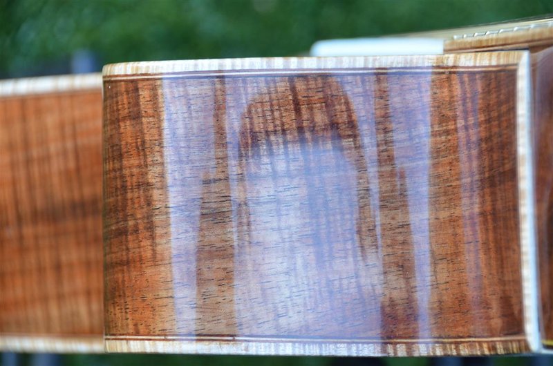 blackwood8.JPG