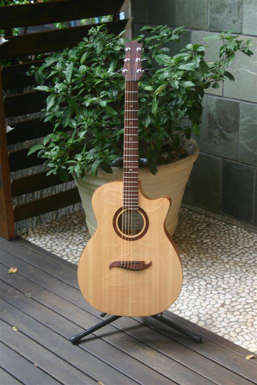 Brunswick Rose Cutaway 029 (Medium).JPG