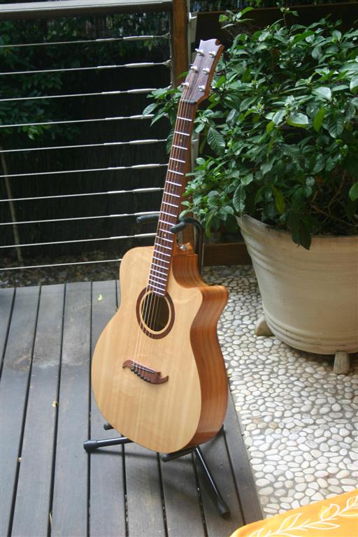 Brunswick Rose Cutaway 035 (Medium).JPG