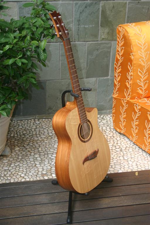 Brunswick Rose Cutaway 043 (Medium).JPG