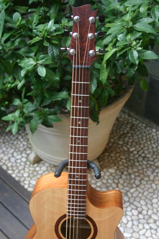 Brunswick Rose Cutaway 055 (Medium).JPG