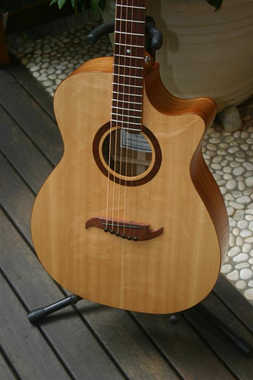 Brunswick Rose Cutaway 060 (Medium).JPG