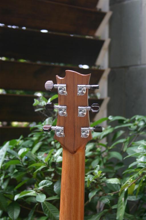 Brunswick Rose Cutaway 088 (Medium).JPG