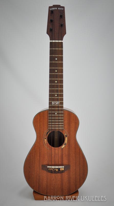 Boskos_5string_concert-7.jpg