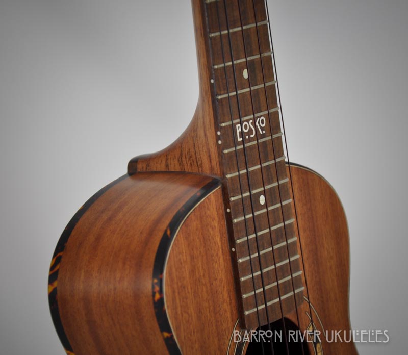 Boskos_5string_concert-15.jpg