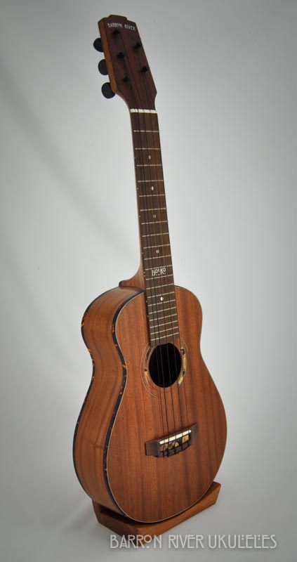 Boskos_5string_concert-31.jpg