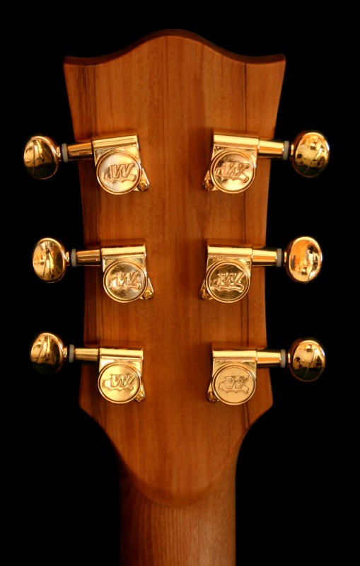 koru1.jpg