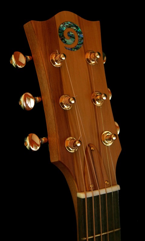 koru2.jpg