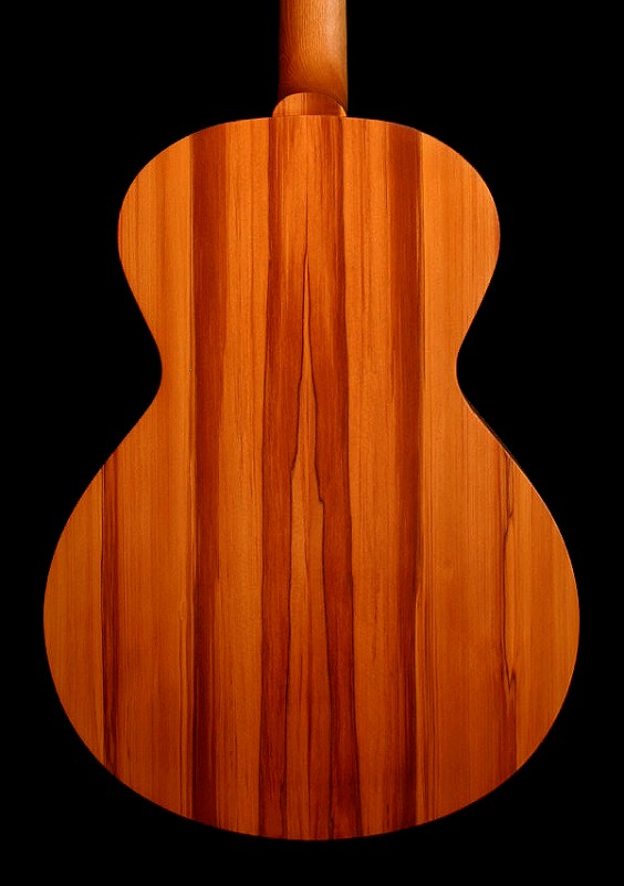 koru4.jpg