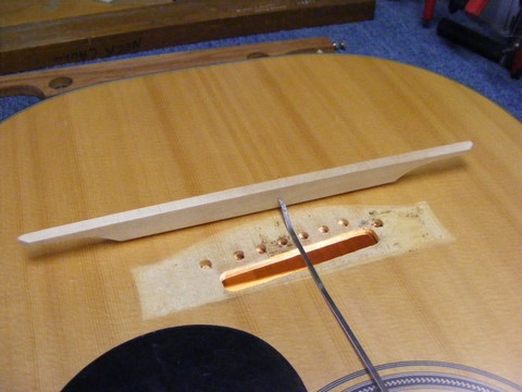 Maton AP5 pickup Australian New Zealand Luthiers Forum