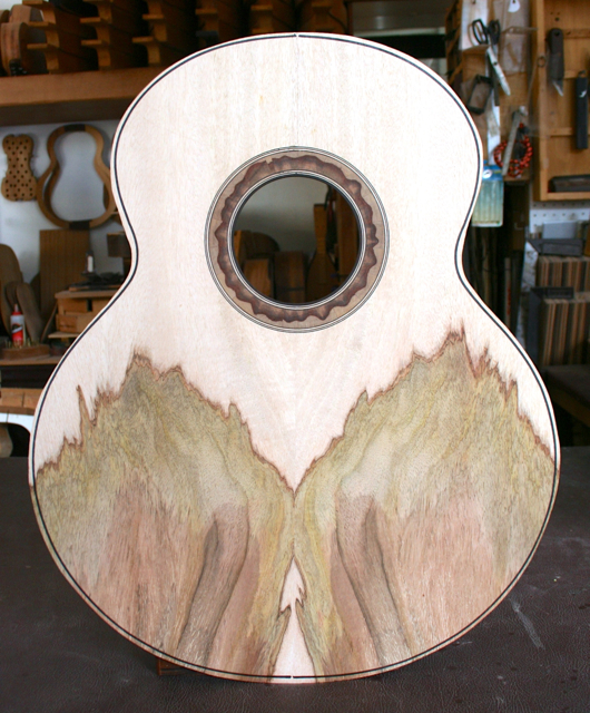 mangotree2.jpg