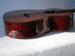 Salv04.jpg