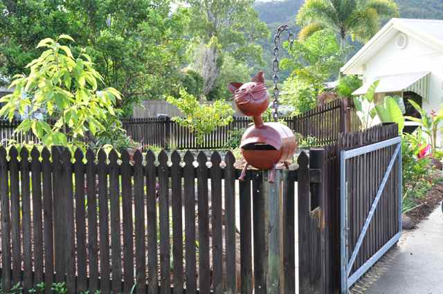 Cat Mailbox.jpg