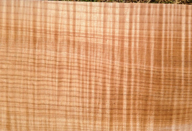 Curly Maple Billets-4.jpg