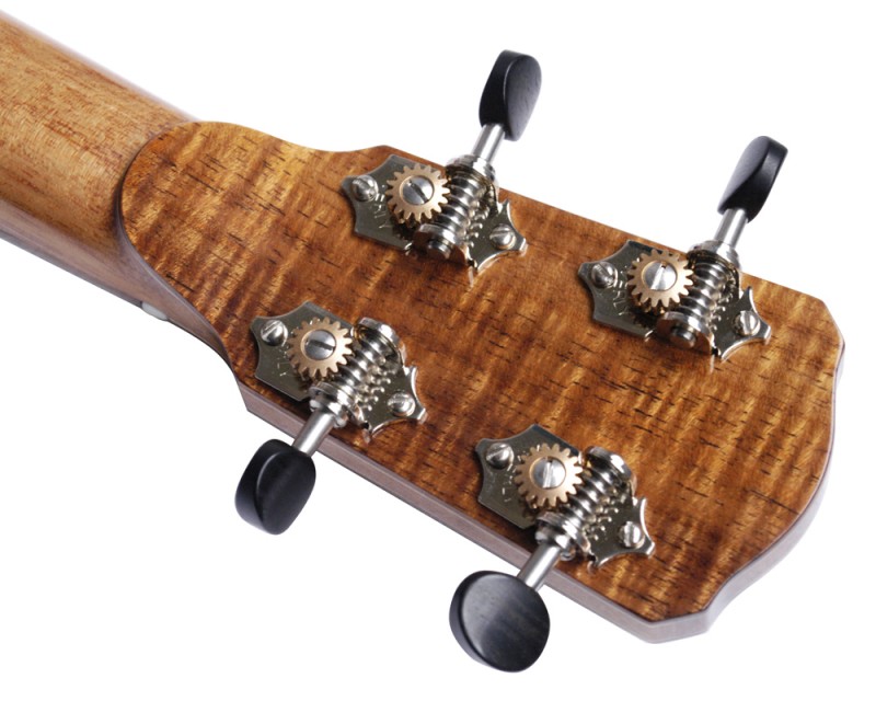 falcate_headstock_back.jpg