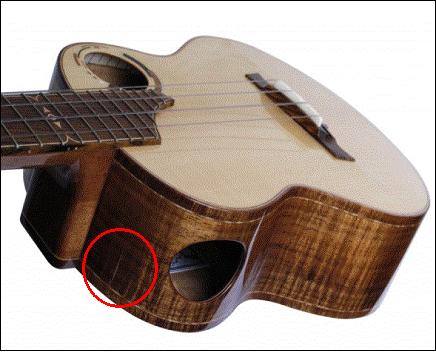 falcate_body_angle_WTF.JPG