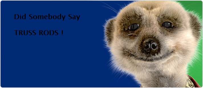 meerkat-1.jpg