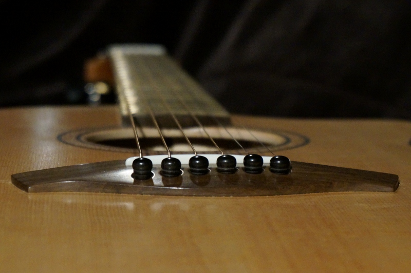 DSC01385 (800x532).jpg