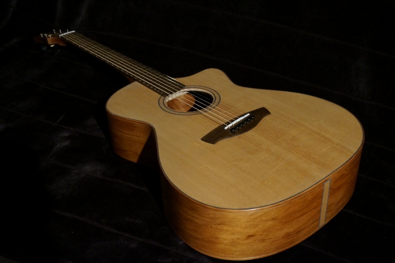DSC01383 (800x532).jpg