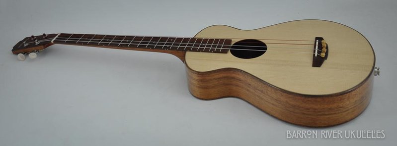 Blackwood Baritone #3_2013October27_003.jpg